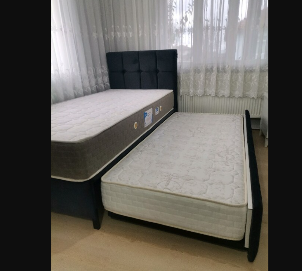 2.el pembe renk yavrulu baza 3